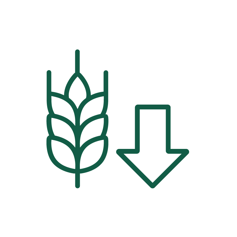 Grünes Symbol mit einem Weizenhalm und einem nach unten zeigenden Pfeil, das darauf hinweist, dass das Produkt einen reduzierten Kohlenhydratgehalt hat.