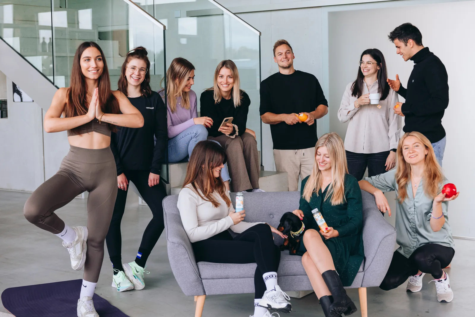 Das LiveFresh-Team im Büro