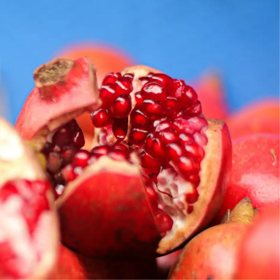 Foto cloe up eines geöffneten Granatapfels. Nahaufnahme der roten Granatapfelkerne im inneren der Frucht