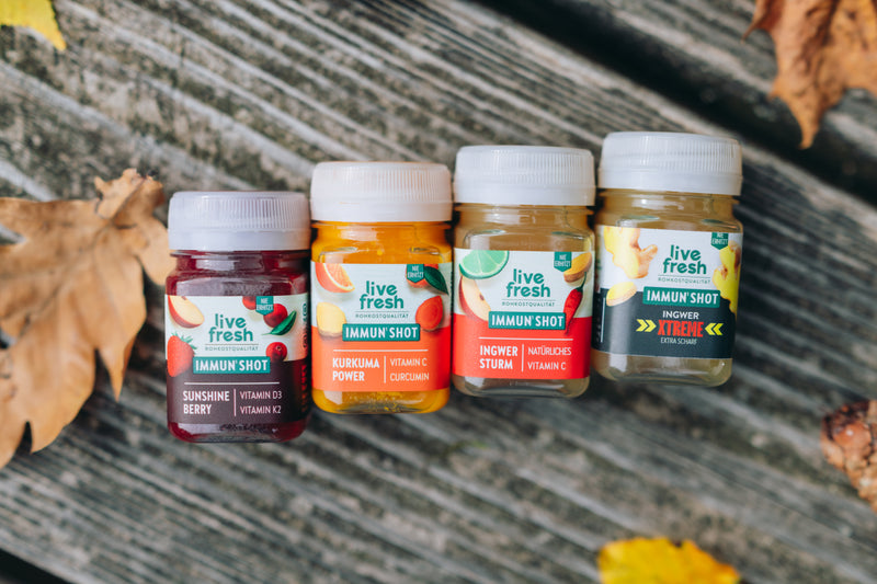 Vier LiveFresh Immunshots stehen nebeneinander auf einer verwitterten Holzbank zwischen bunten Herbstblättern und Tannenzapfen. Zu sehen sind die Sorten Sunshine Berry. Kurkuma Power. Ingwer Sturm und Ingwer Xtreme Extra Scharf. Kopieren