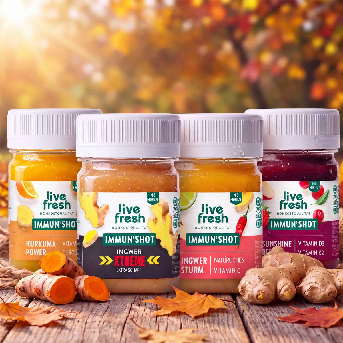 Vier Live Fresh Immunshots in den Sorten Kurkuma Power, Ingwer Xtreme, Ingwer Sturm und Sunshine Berry stehen auf einem Holztisch mit frischem Ingwer, Kurkuma und bunten Herbstblättern. Die verschiedenen Shots präsentieren die Sortenauswahl für ein Immunshots Monatspaket.