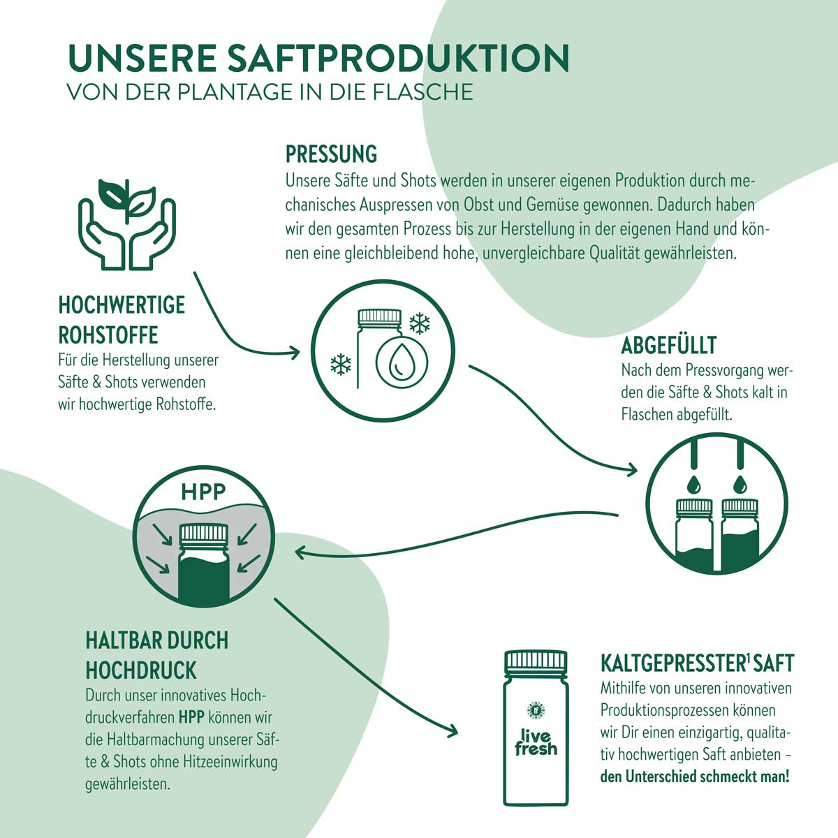Infografik zur Saftproduktion bei LiveFresh mit fünf Produktionsschritten: hochwertige Rohstoffe, mechanisches Pressen, Kaltabfüllung, Haltbarmachung durch Hochdruck (HPP) und das Endprodukt – kaltgepresster Saft in der Flasche.