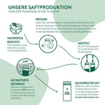 Infografik zur Saftproduktion bei LiveFresh mit fünf Produktionsschritten: hochwertige Rohstoffe, mechanisches Pressen, Kaltabfüllung, Haltbarmachung durch Hochdruck (HPP) und das Endprodukt – kaltgepresster Saft in der Flasche.