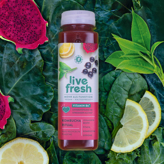 Kombucha Ritual – Saft – 250ml